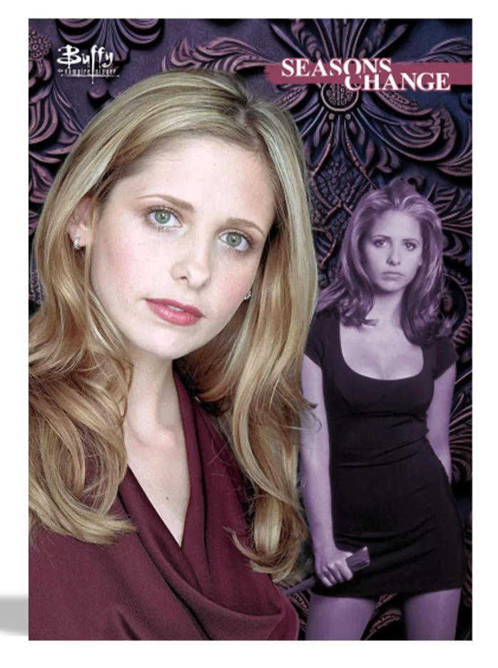 Buffy the Vampire Slayer Series 1 Trading Cards | 2-Pack Collector Box